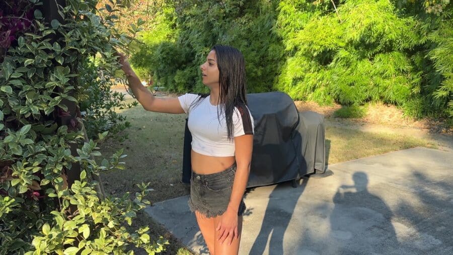 Lora meets Misty in the garden